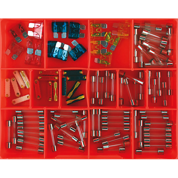 Champion 100pc Auto Fuse Assortment (Glass Champion 100pc Auto Fuse Assortment (Glass