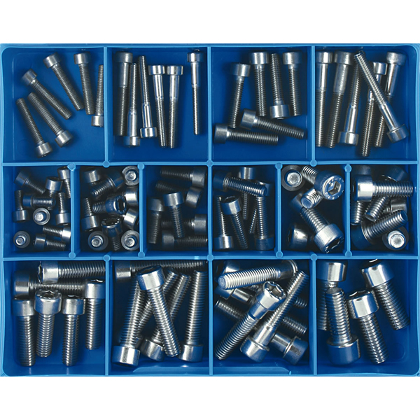 Champion 91pc Imperial Cap Screw Assortment 316/A4
