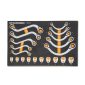 GEARWRENCH 20PC SPECIALTY RATCHETING MET WRENCH SET IN EVA TRAY