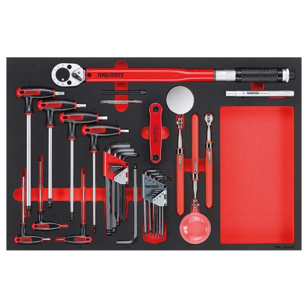 Teng 17pc Torque Wrench Hex/TX & insp Tool Set (EVA) Teng 17pc Torque Wrench Hex/TX & insp Tool Set (EVA)