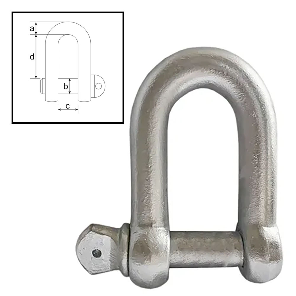 ITM Dee Shackle