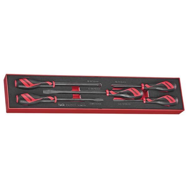 Teng 5pc Power Thru Screwdriver Set - TEX-Tray Teng 5pc Power Thru Screwdriver Set - TEX-Tray